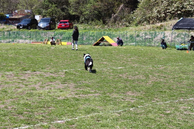 a0157156_21245954.jpg