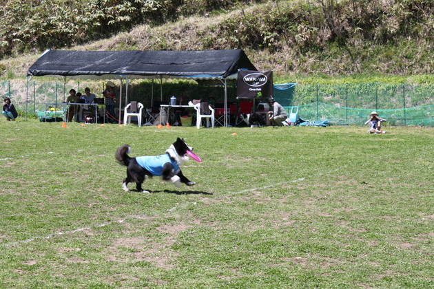 a0157156_2126772.jpg