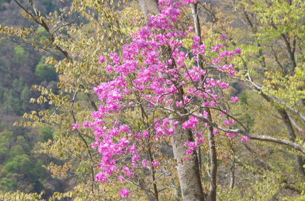 b0320758_20400035.jpg
