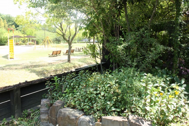 b0145366_13482911.jpg