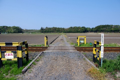 e0045768_21355325.jpg