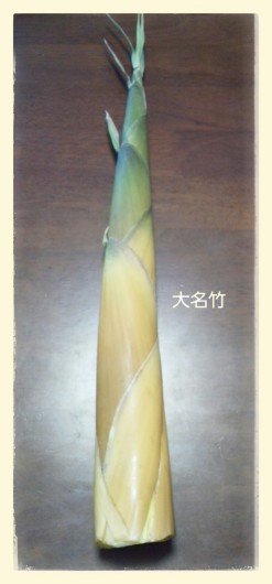 c0309870_20482489.jpg