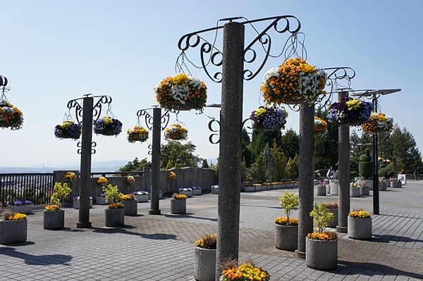 e0177271_20445657.jpg