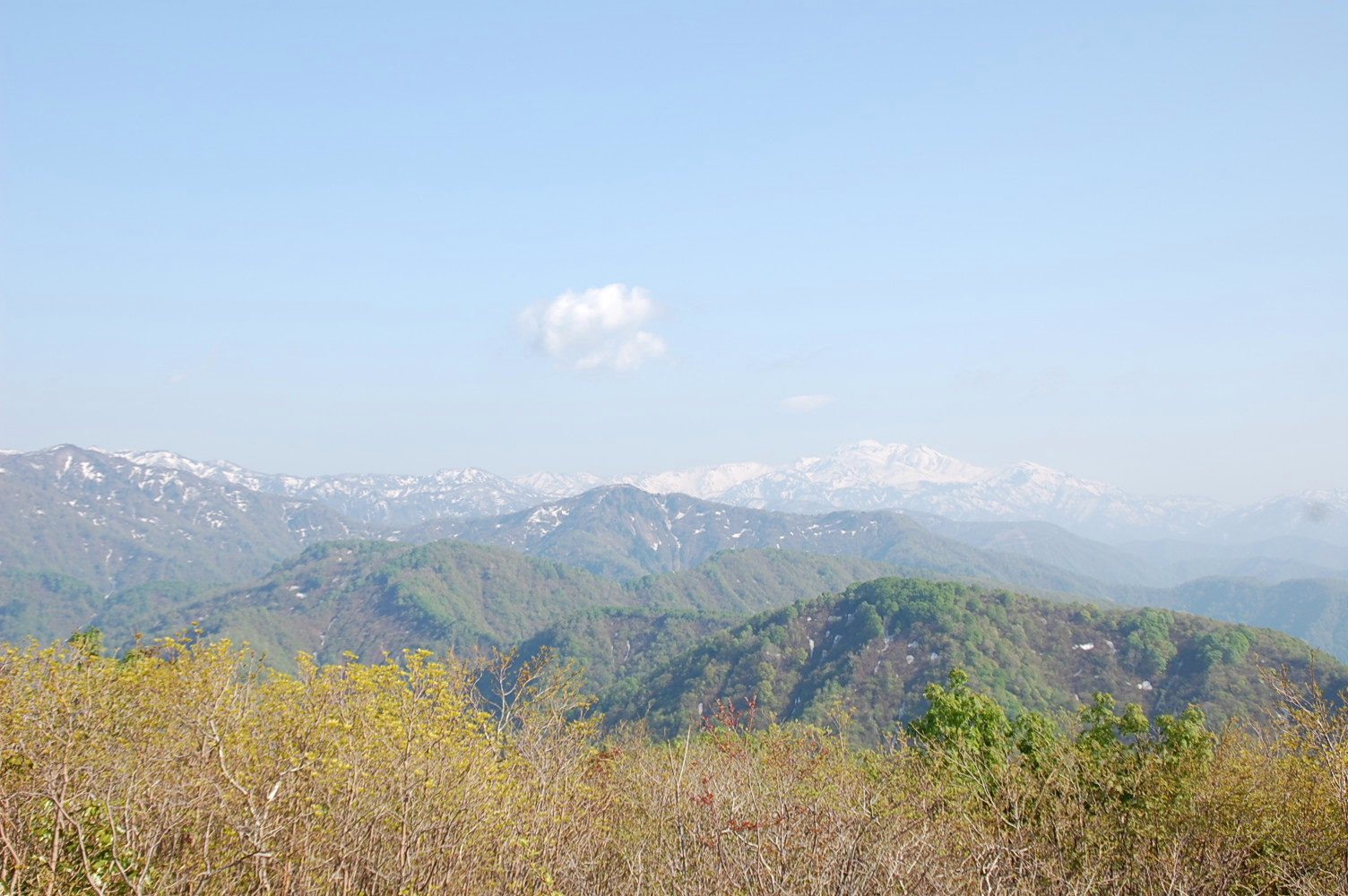 c0022275_1042514.jpg