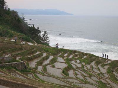 e0012580_09953.jpg