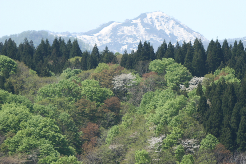 e0287981_2124043.jpg