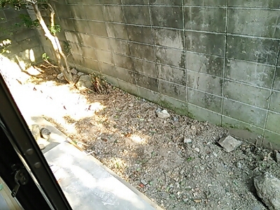 c0209284_5525818.jpg