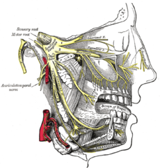 f0115484_18272430.png