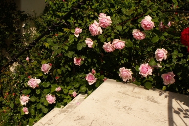 d0166389_1824789.jpg