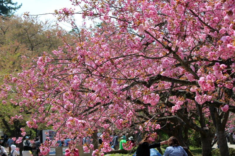 a0127090_20262814.jpg