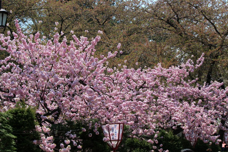 a0127090_20265061.jpg