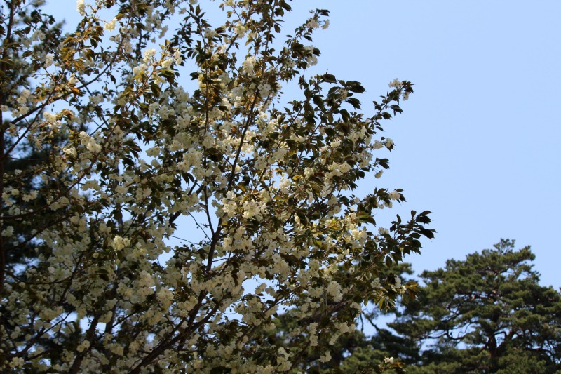 a0127090_20373937.jpg