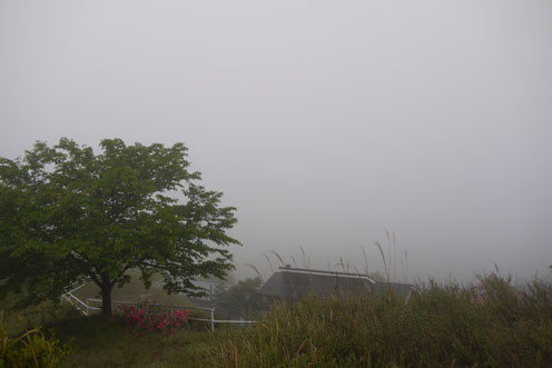 f0222692_11202092.jpg