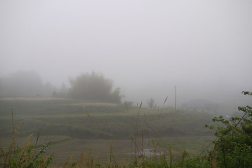 f0222692_1124310.jpg