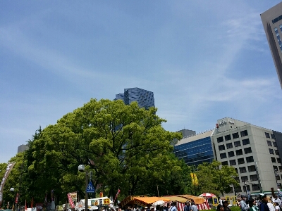 a0162394_23364782.jpg