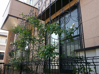 a0162394_2351267.jpg
