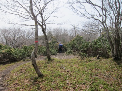 c0118495_22541549.jpg