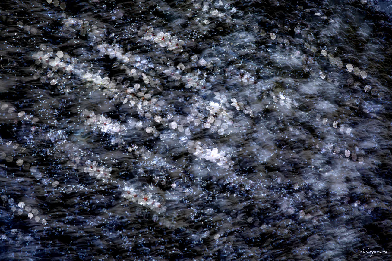 f0185802_2273234.jpg