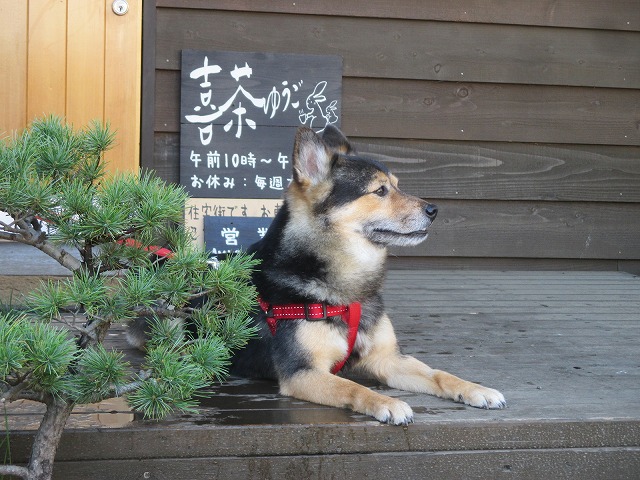 f0202703_0351376.jpg