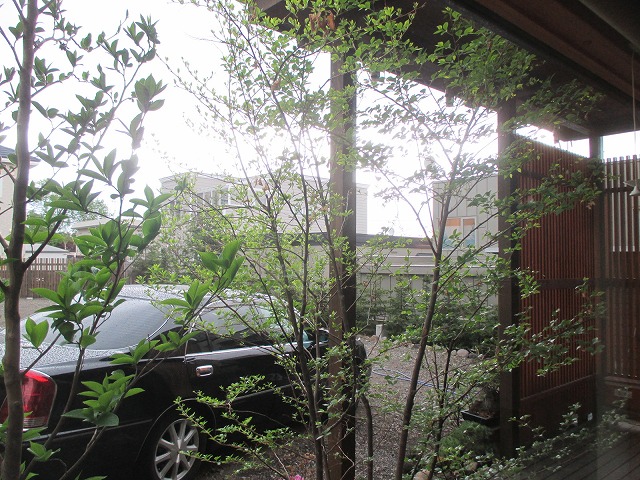 f0202703_083816.jpg