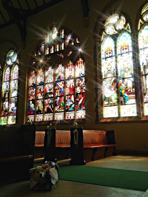 a0032004_1454394.jpg