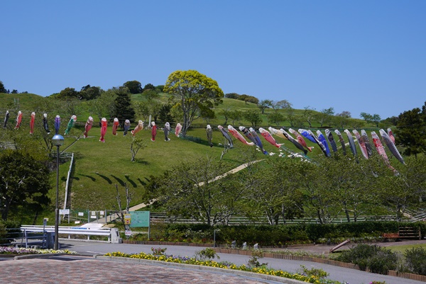 d0133704_1356649.jpg