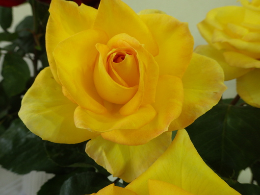 c0280206_13334072.jpg