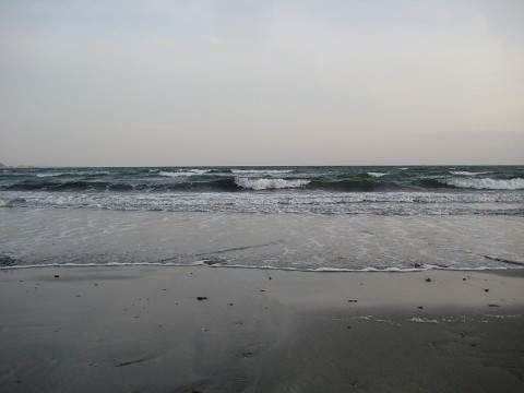 b0309813_1148514.jpg