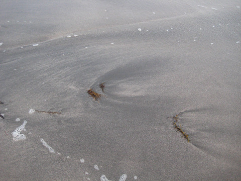 b0309813_1149329.jpg
