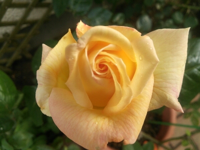 c0304922_1424639.jpg