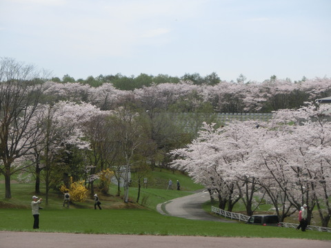 d0136122_654431.jpg