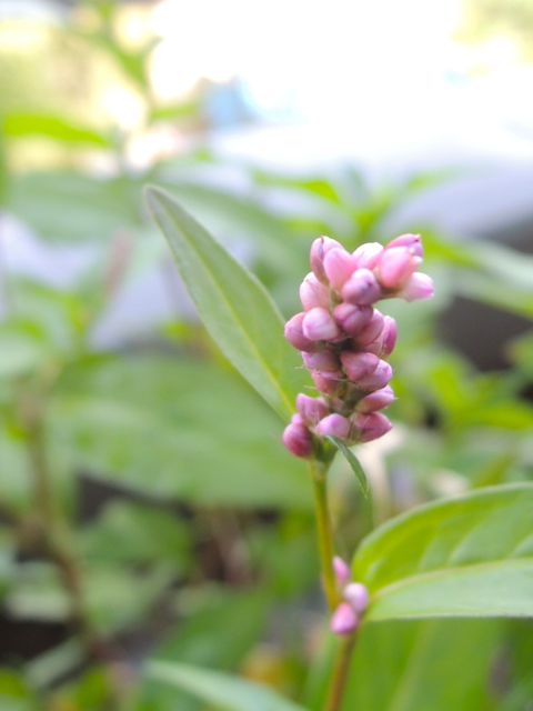 f0229926_8201621.jpg