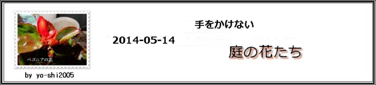 e0033229_20312043.jpg