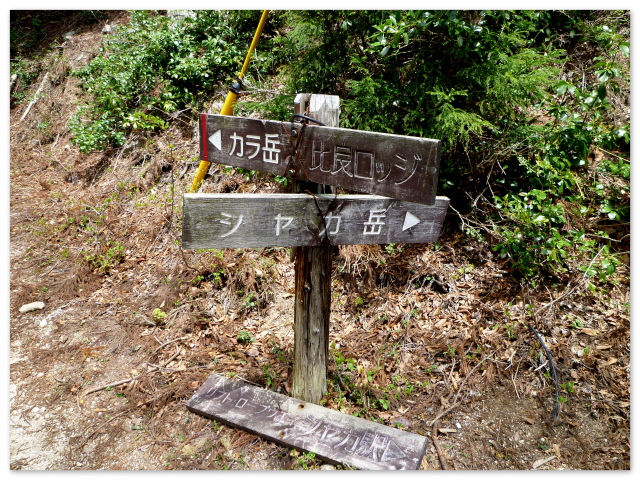 d0075131_0354624.jpg