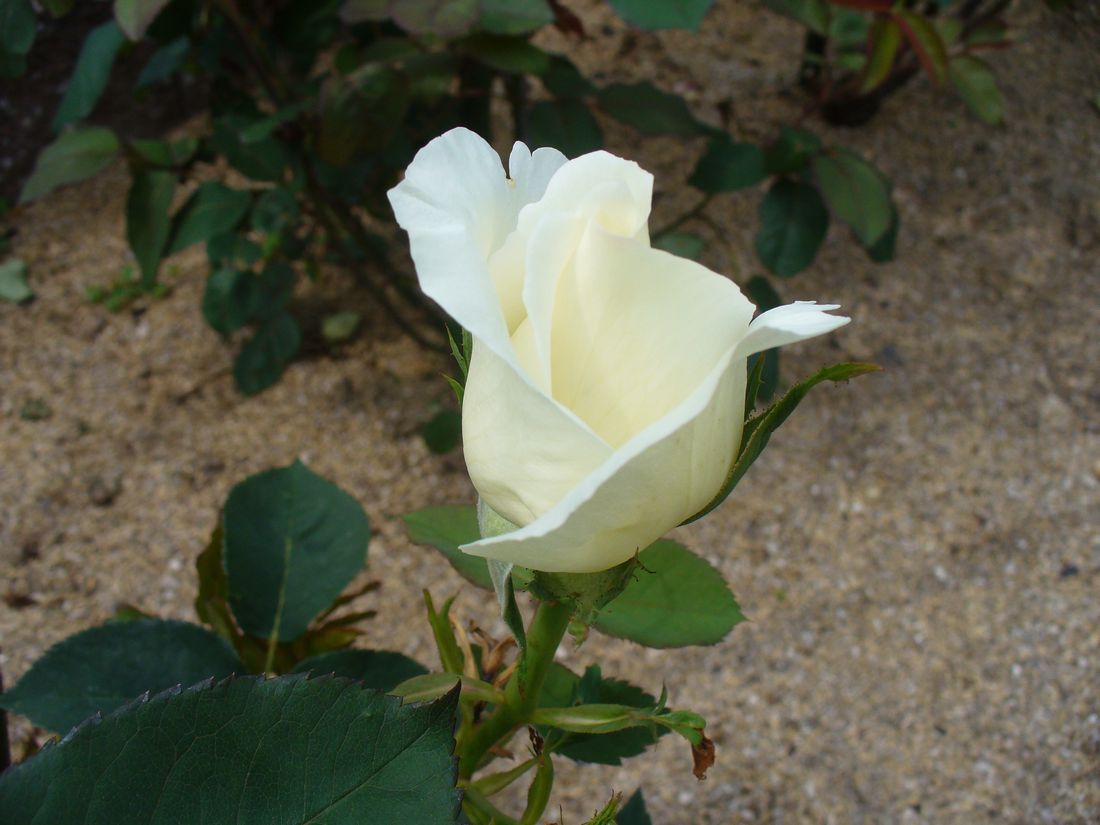 f0275632_22274919.jpg