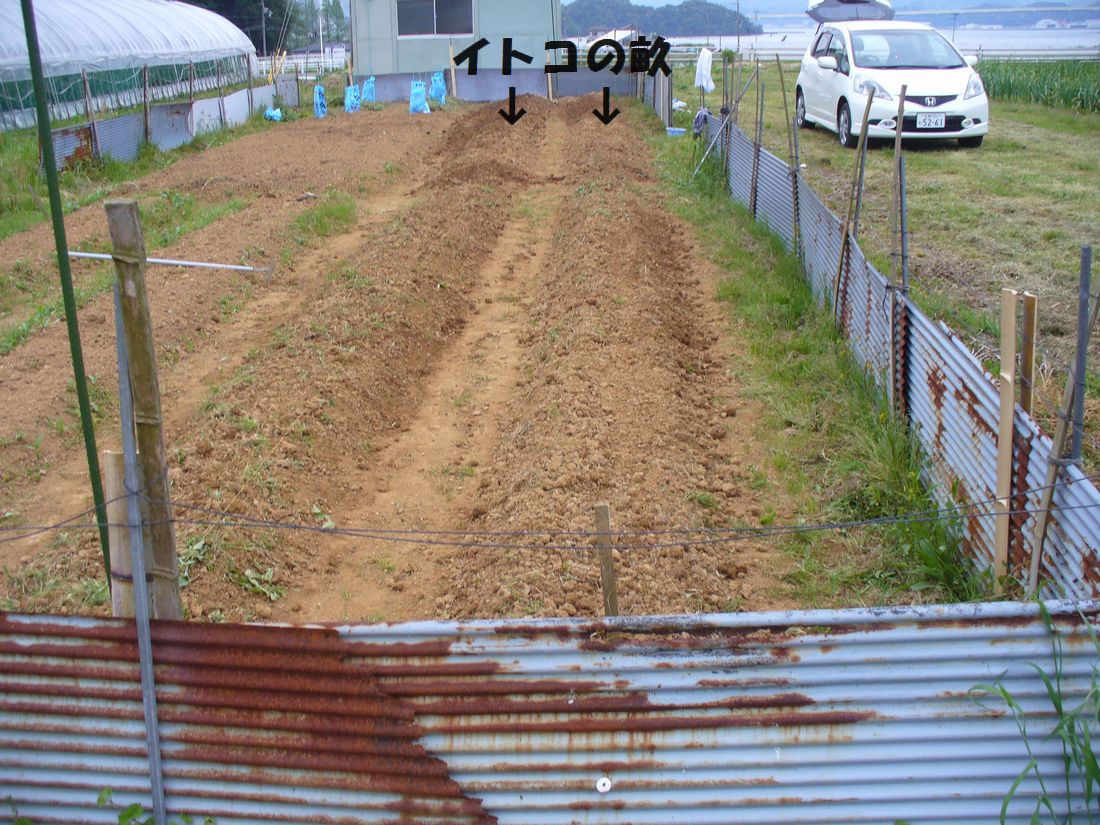 f0275632_22352023.jpg