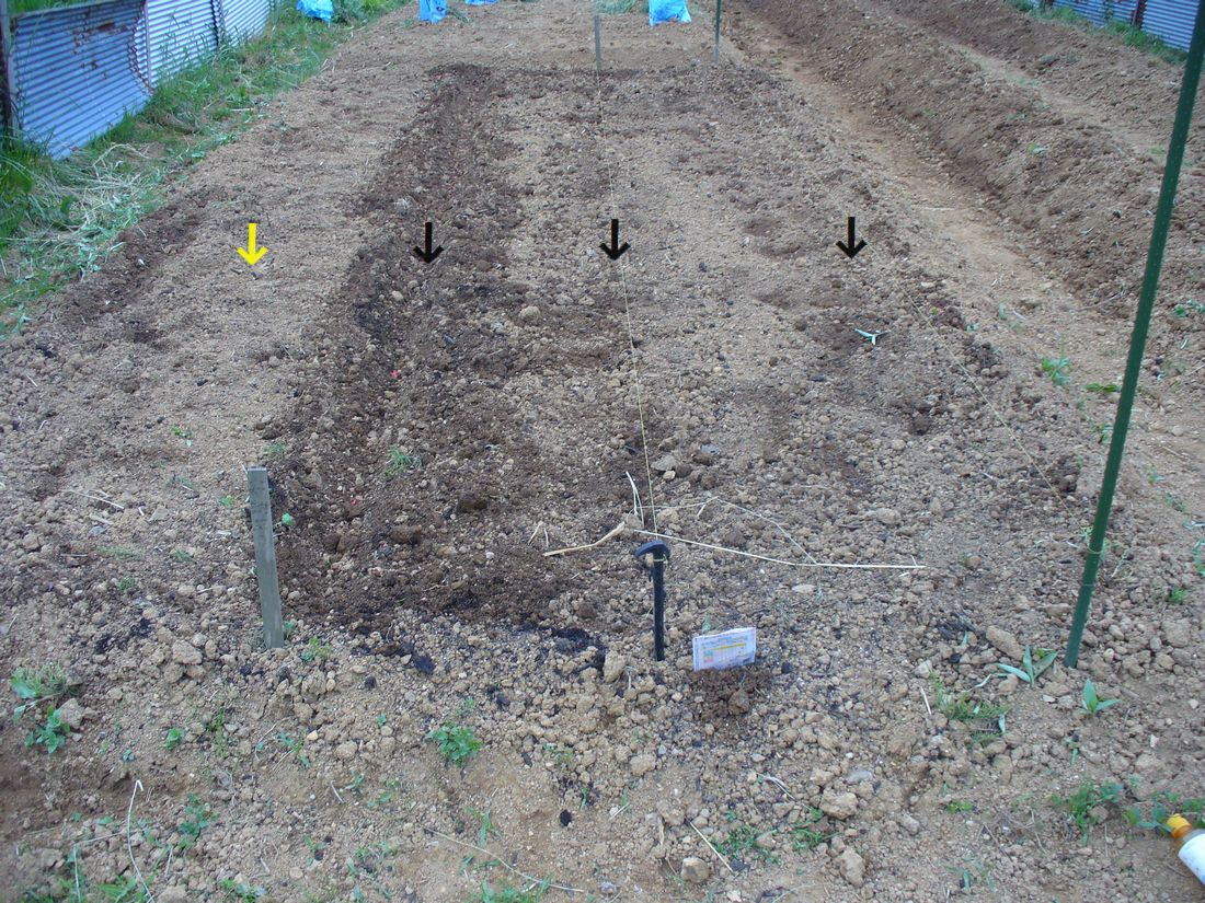 f0275632_224610100.jpg