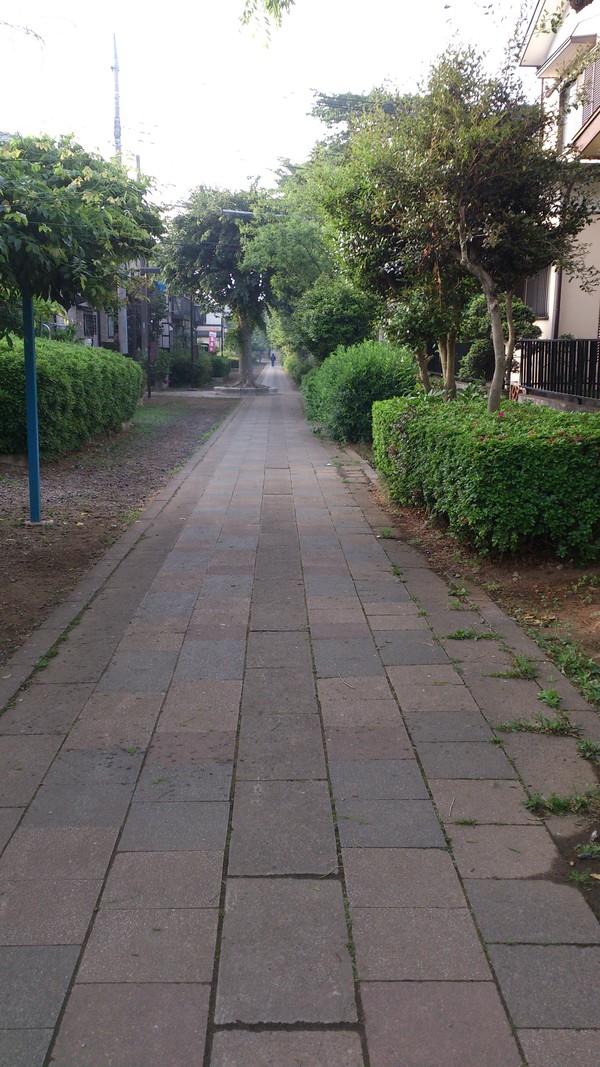 b0301236_17331690.jpg