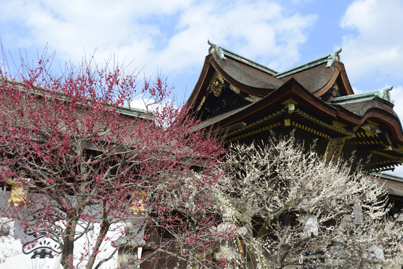 b0042837_2126390.jpg