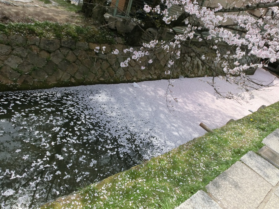 f0237037_12354989.jpg