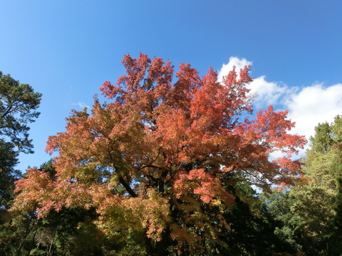 f0237037_1243587.jpg