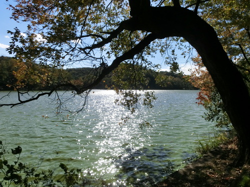 f0237037_1251833.jpg