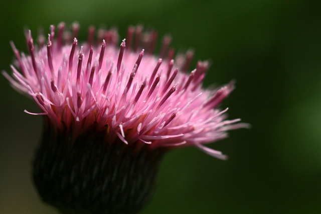 a0242438_1914333.jpg
