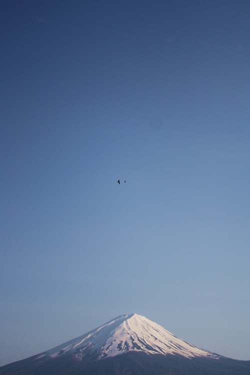 d0194741_23261677.jpg