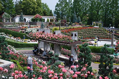 b0059664_15163223.jpg