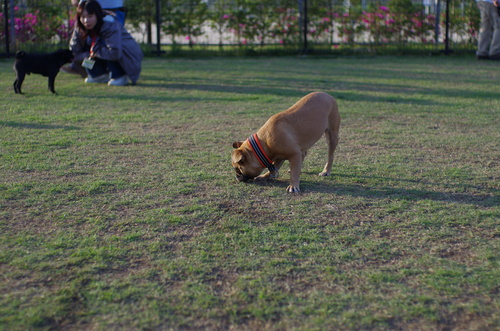 c0298565_1122691.jpg