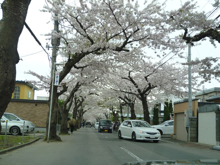 c0266868_102412100.jpg
