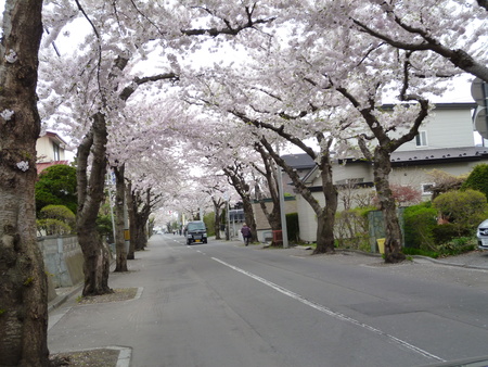 c0266868_9472740.jpg