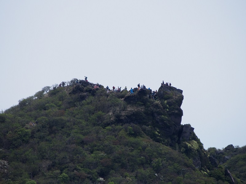 c0042869_13373385.jpg