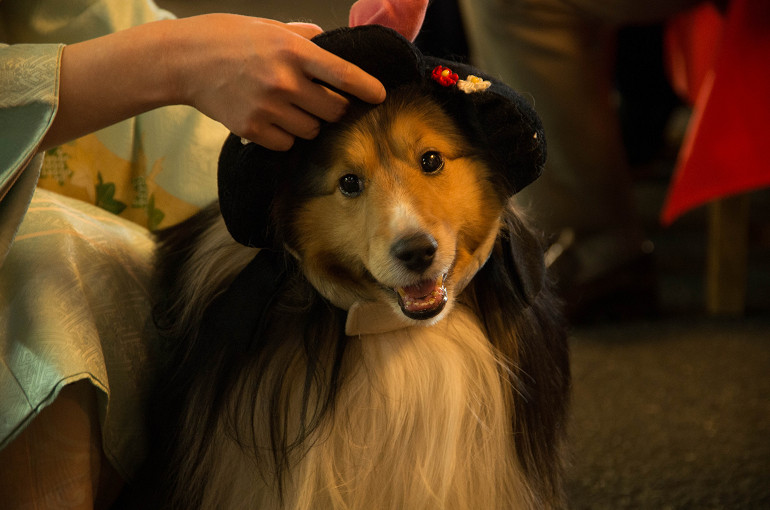 f0303870_21142155.jpg